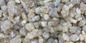 Olibanum Gum