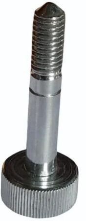 Stainless Steel Bolt