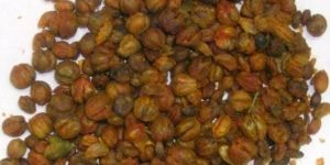 Phyllanthus Nirur Extract