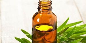 Tea Tree Oil