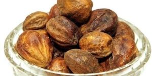 TERMINALIA ARJUNA EXTRACT