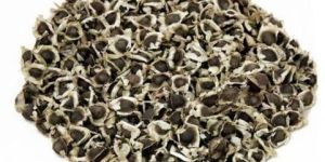 TopQuality Moringa PKM1 Seed