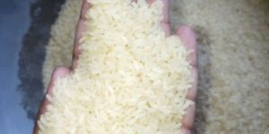 Non Basmati Rice