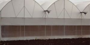 Fan & Pad Greenhouse