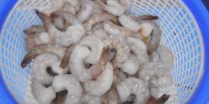 Frozen Raw PDTO Vannamei Shrimps
