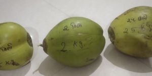 Fresh Tender Coconut