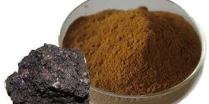 Shilajit Extract