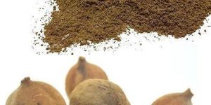 Terminalia Bellirica Extract