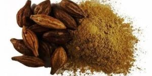 Terminalia Chebula Extract