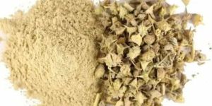 Tribulus Terrestris Extract