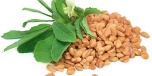 Trignonella Foenum Graceum Extract