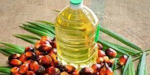 Palm Olein Oil