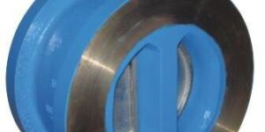 Dual Plate Check Valve