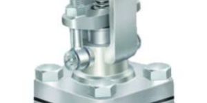 Forged Steel Globe Valve`