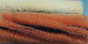 Textile Comber Brushes