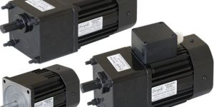 60 Watt Induction Motor