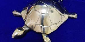 Silver Tortoise Statue