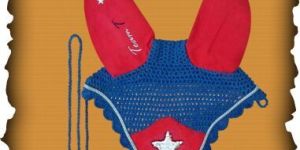 R.Blue Round Fly Veil