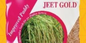 Jeet Gold Improved Paddy Seeds