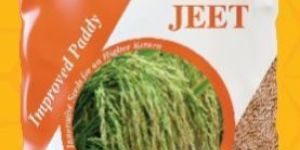 Jeet Improved Paddy Seeds