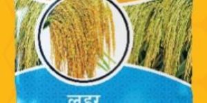 Lahar MHR-942 Hybrid Paddy Seeds