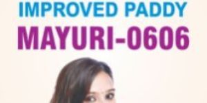 Mayuri 0606 Improved Paddy Seeds