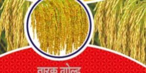 Tarak Gold MHR-819 Hybrid Paddy Seeds