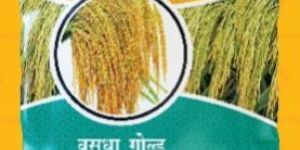 Vasudha Gold MHR-981 Hybrid Paddy Seeds