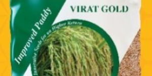 Virat Gold Improved Paddy Seeds