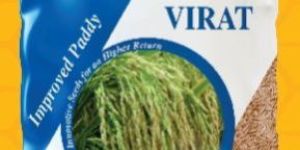 Virat Improved Paddy Seeds