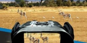 Night Vision Devices