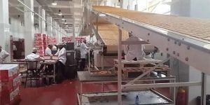 Biscuit Cooling Conveyor