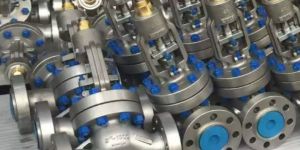 DUPLEX STEEL GLOBE VALVES