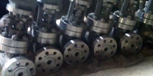 Stainless Steel Globe Valves