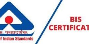Bis Certification Services