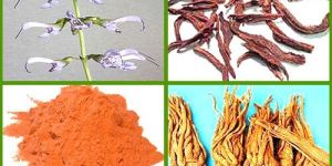 SALVIA RADIX EXTRACT