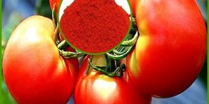 Tomato Extract