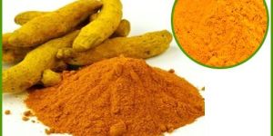 Turmeric Extract