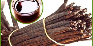 VANILLA FLAVOURS EXTRACT