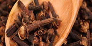 Cloves