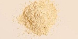 Bacillus Licheniformis Probiotic