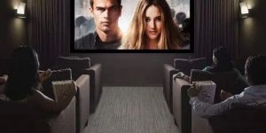 Fixed Projection Screen