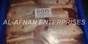 Halal Buffalo Meat Kasila