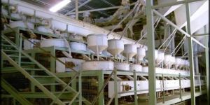Isabgol Grinding Automated Plant