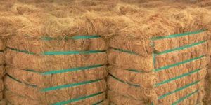 Coconut Fiber 120 Kgs