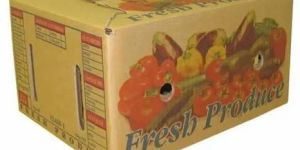 Vegetable Export Box