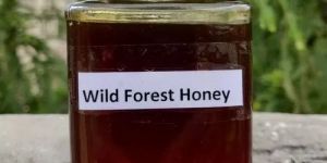 Natural Wild Forest Honey