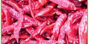 Red Dry Chillies