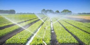 Sprinkler Irrigation System