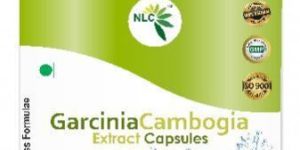 Garcinia Cambogia Capsules